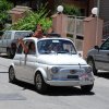 Burgio_2009 (542)
